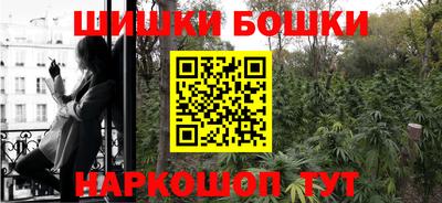 спайс Берёзовский