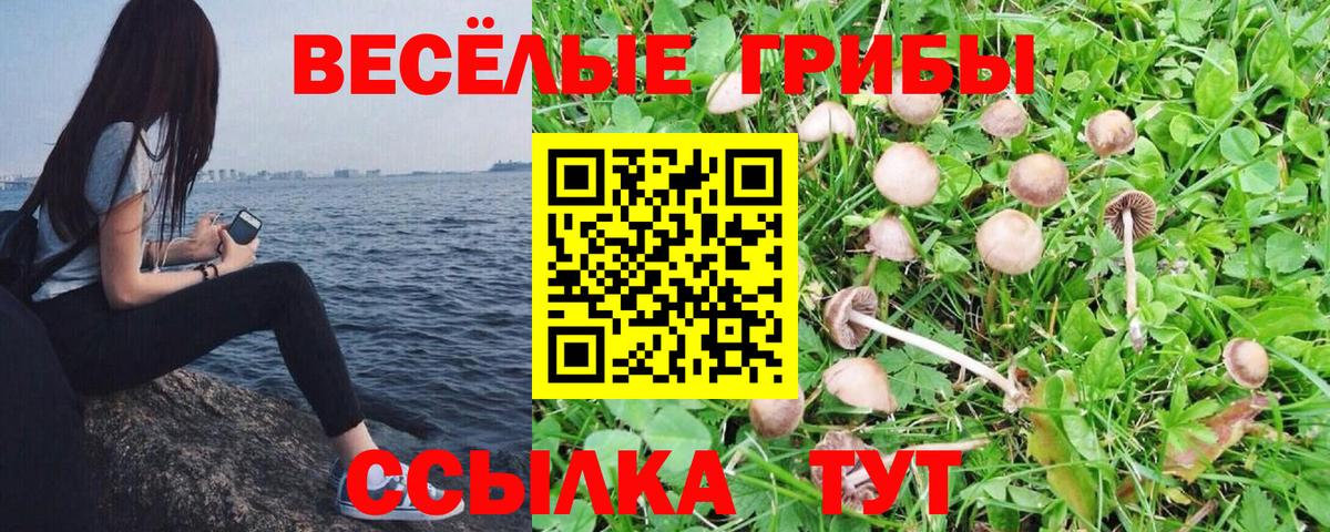 Галлюциногенные грибы мухоморы Кировск