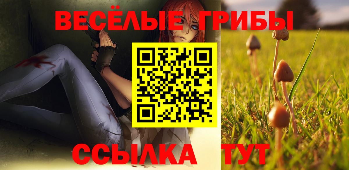 Псилоцибиновые грибы мицелий  Вход с VPN  Кировск 